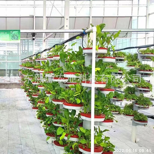 �S�ҿɶ��Ɵo������ ����ˮ��Nֲ �I�BҺˮ������ ���w�o���Nֲ