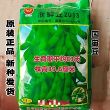 r2013ëNڸŴ߮avM20b