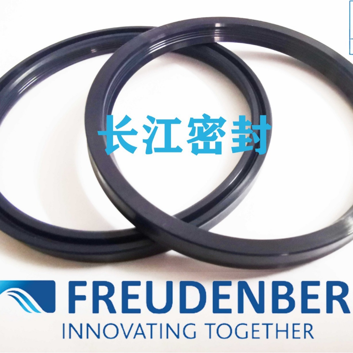 德国进口LF300 cfw N32990 45-55-7.3 n32992 56-71-11.4油封