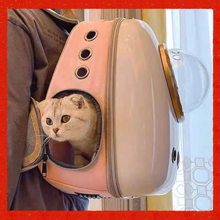 ؈�������y��͸��̫��œ�p��؈�䱳��؈��������������������Ʒ