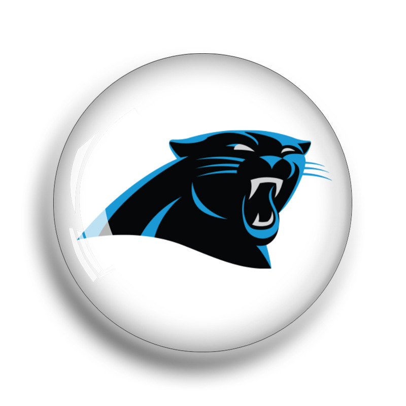 캐롤라이나 팬더