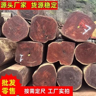 ���黨��ľ �㻨���� �t̴��ľ�� ���l�������̴�y��Ư��