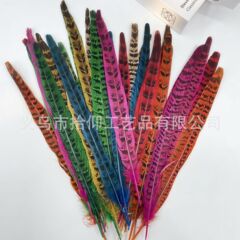 DIY ジュエリーアクセサリー直接染色マザーチキンカクテルフェザープロップフェザー京劇天然羽野生キジパフォーマンス