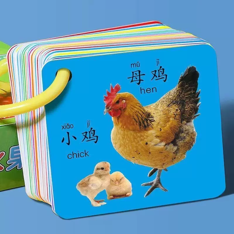 儿童认知学习卡通双面益智玩具宝宝启蒙动物识字卡片早教批发