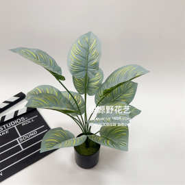 12头条纹圆萝 过胶手感叶仿真植物墙配材青苹果叶盆栽