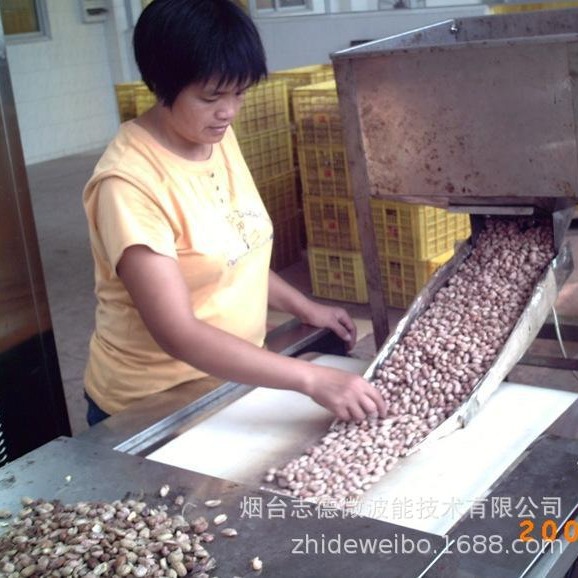 黄豆微波烘烤隧道炉 豆子微波熟化设备 五谷杂粮烘烤杀菌机