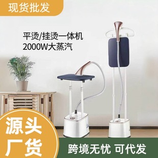 Household Steam Small Ironing Machine Double-Pole Vertical Garment Ironing Machine Handheld Retractable Portable Mini Iron Gift