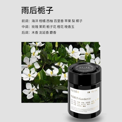 Perfplant seat Car-mounted Ornaments Solid Fragrance - gardenia-after-rain