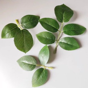 ���滨�zӡõ���~ diy��������Ҿӻ�c�G�~���b�õ���~�Ӽ��~��