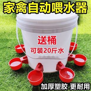 New Chicken, Duck and Goose Drinking Bowl, Poultry Fully Automatic Water Feeder, Pigeon Breeding Drinking Fountain for Feeding Birds