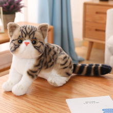 仿真猫公仔毛绒玩具波斯猫呆萌可爱逼真三花狸花加菲