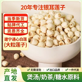 银耳;莲子;黑木耳