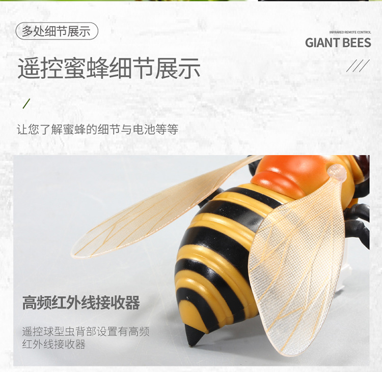 遥控蜜蜂-750_12.jpg