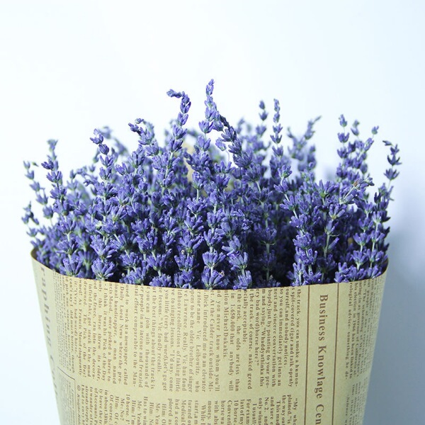 Xinjiang Yili Lavender Bouncing Lavender Drinking Flower Shop Flower…