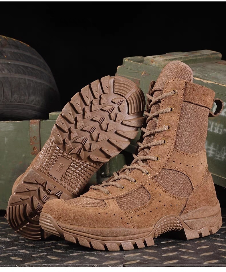 ee9ddfd5-7fe8-4262-8213-1e9118eb5860.jpe