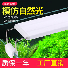 水槽省エネランプ LED 特殊照明ランプカメ造園防水ランプ水生植物ランプ中小型水族館ラックランプ