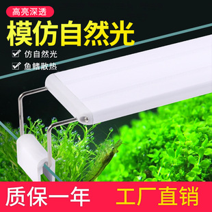 Fish tank energy-saving lamp led special lighting turtle landscaping waterproof lamp water plant lamp small and medium aquarium rack lamp