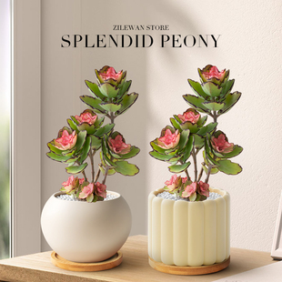 Ⱥ�����^�\��ĵ������ֲ�����Է�ɫ�����k���ҹ�λ����Gֲ���B��