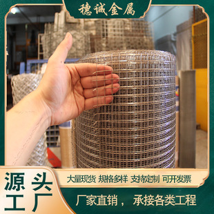 Hot-Dip Galvanized Steel Wire Mesh Thickened Super-Hard Anti-Rust Iron Wire Mesh Balcony Protective Net Chicken and Duck Anti-Rat Net Chicken Cage Rabbit Cage