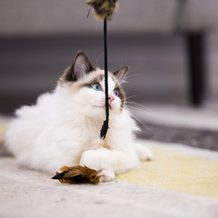 GiGwi magic cat toys funny cat stick feather high elastic handheld non-slip plush thread ball blue feather