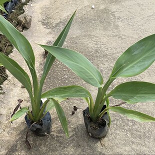 ˮ�����˽� �S���t���pɫ���˽�ˮ�w�G���������^�p��ؾG�����l