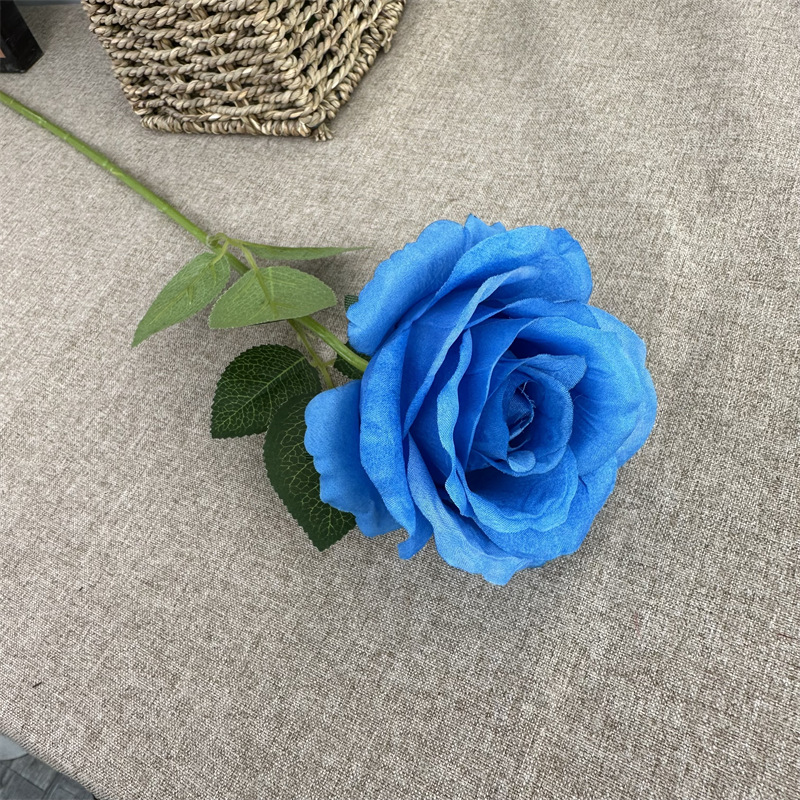 Single Anna Rose Dark Blue