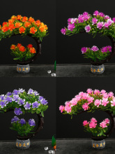 ���r����[�P�b��ݲ��������Ƶ�Pٻ�����⾳��