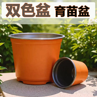 �pɫ����Nֲ����I�B���S�������ܻ�������һ���ԼӺ��pɫ������