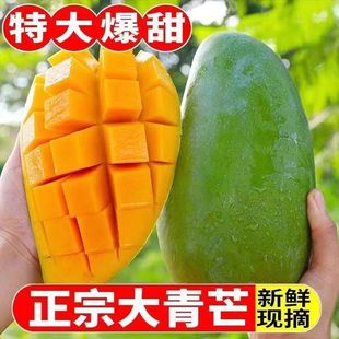 �F؛Խ�ϴ���â��Ęâ��Ƥ��â�������Ꭷˮ���V�����]����һ����