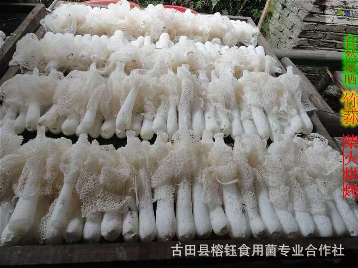 120ad827d9e73fff02c12e37c07787