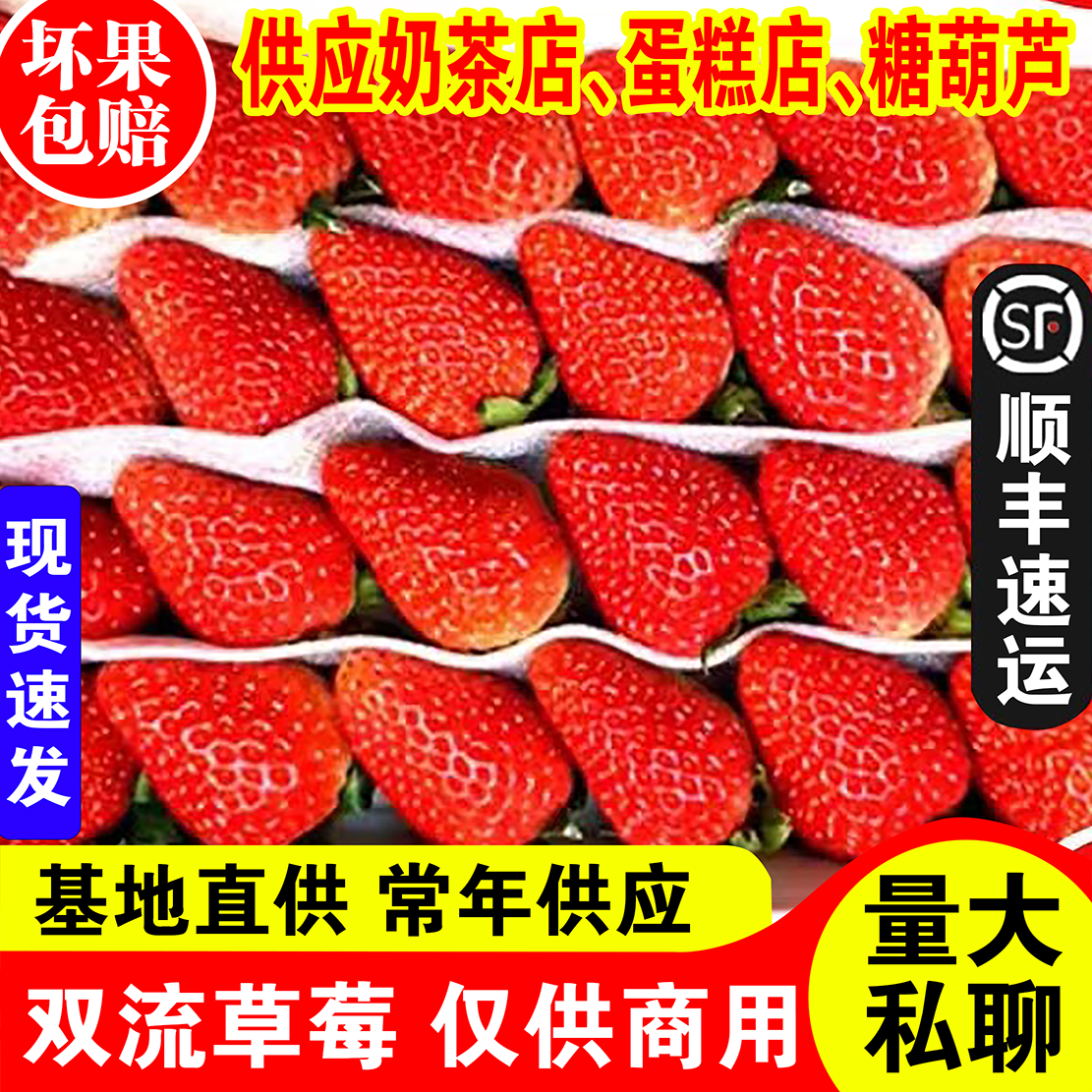In Stock Fresh Strawberry 4 Box Pack Baking Cake Decoration Same City Fruit Four Seasons Shuangliu 2 Box Plus Jiangsu Zhejiang Shanghai Free Shipping