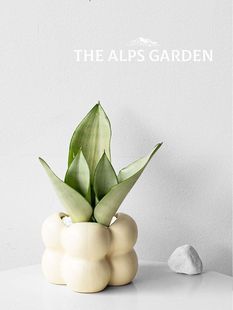 ����˹���@����Ƥ�m��β�mϲ�ֲ�������̨�Gֲ����Y��