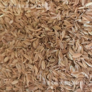 ��ɾ����s����ȫ���������w�������Bֳ��ֲ����ϴ��w�S�²���