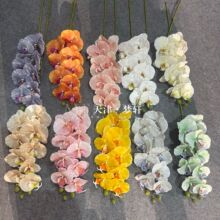 手感9头3D打印卷边显纹蝴蝶兰软胶手感蝴蝶兰 婚礼插花跨境仿真花