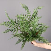 蕨类植物沙罗叶波斯蕨仿真绿植微景观造景美陈地插装饰假植物叶材