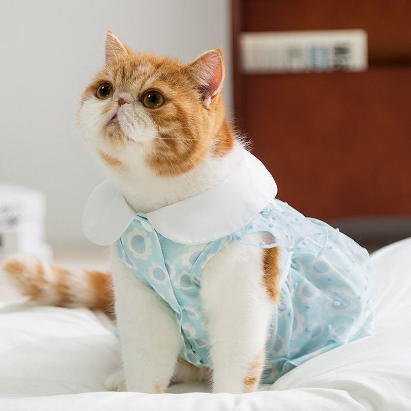 Primavera y verano gatito princesa de encaje vestido de punto ondulado vestido de peluche vestido de perro delgado ropa de perro