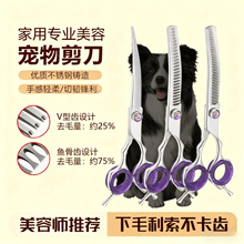 ����������݌��I��ë������ë����؈��ֱ�􏝼�̩�ϱ��ܹ�������