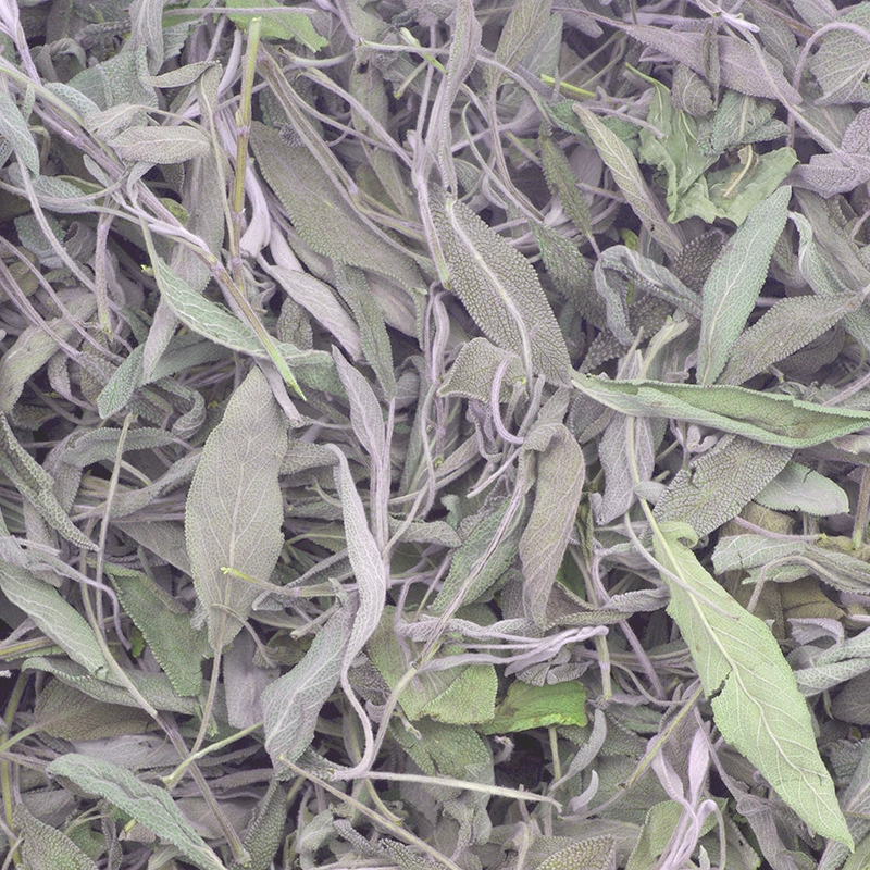 Ароматические сушеные листья шалфея 500 г-приготовление ароматических пенопласта и другие ингредиенты