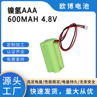 懚늳7̖ 4.8V 600MAH AAA 懚늳ؽM CE SGSȵ