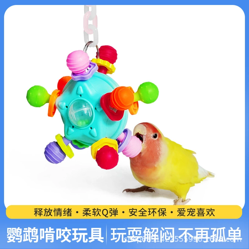 Попугай кусает игрушку