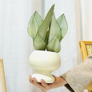 ����Ƥ�m��β�m�����辰�҃ȿ͏d�k���ҹ�λ���滨�ܾGֲ