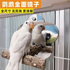 オウム鏡サンショウ木駅架玩具玄鳳虎皮牡丹鳥かご駅棒駅バー鳥用鏡小ホーム