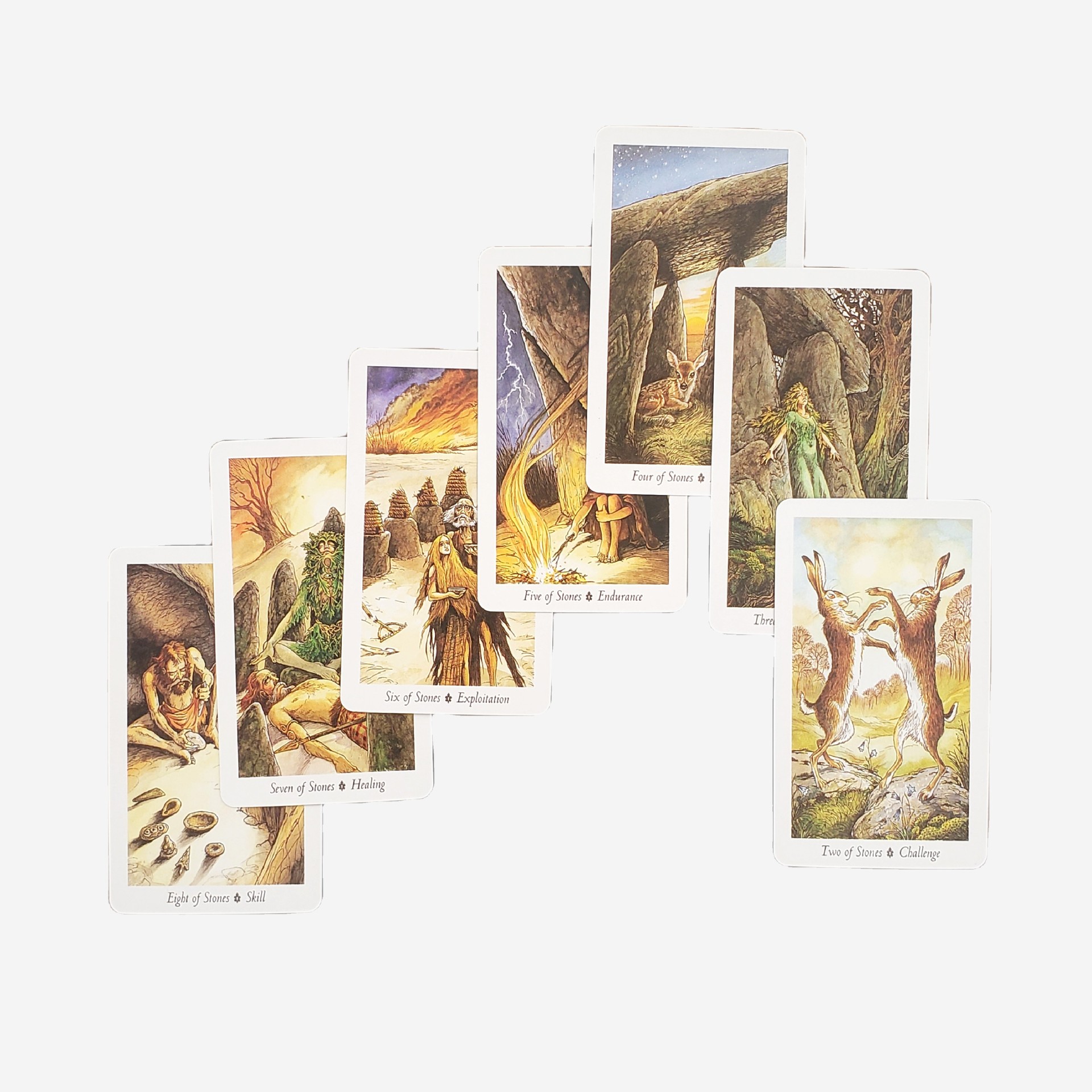 Carte da gioco tarot foresta naturale selvaggia per feste_voghion.com