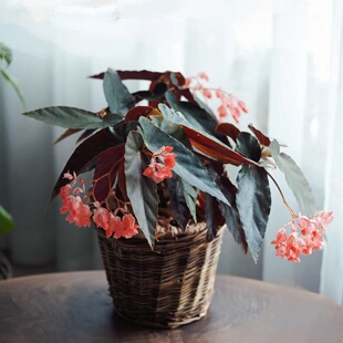 ���ả�������ﺣ���_�t���ļ��_�������ֲ̨��Ø�����ﺣ��