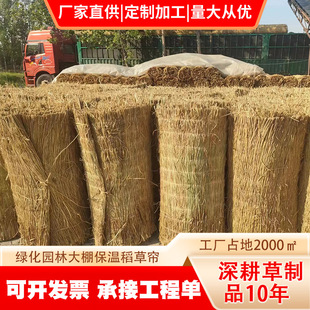 ���̲��K��ɻ�� ���ص��ݺ� ���ݺ��Ә�ľ������ů �����òݺ���