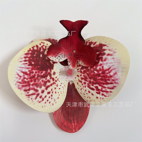 Phalaenopsis Orchid Head Simulated Flower Printed Film Flower…