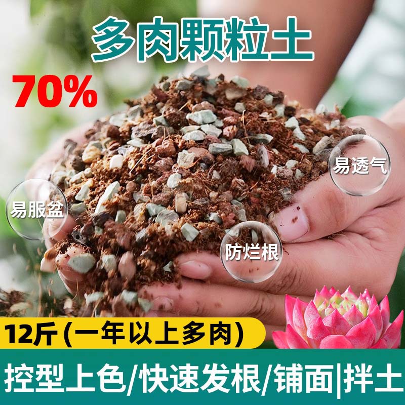 Succulent soil [70% particles] 6kg