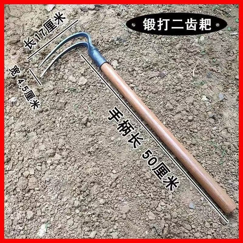 微信图片_20250330144134.jpg