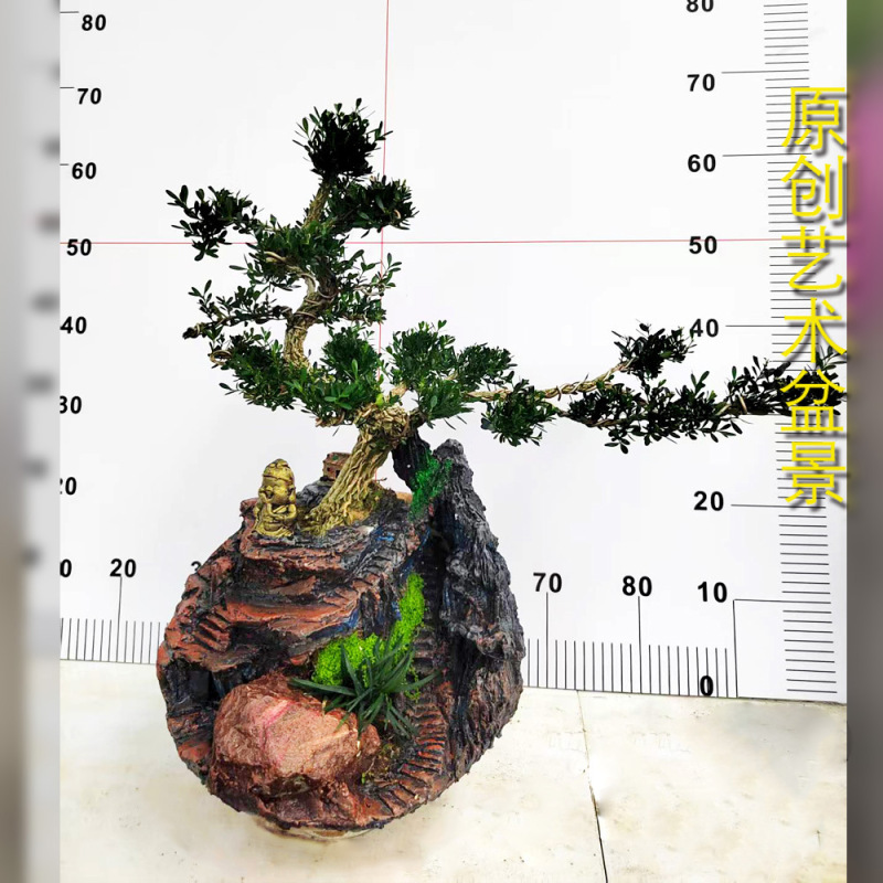 Australian Fir Bonsai Living Room Office Shape Green Plants Florals Potted Evergreen Pine Potted Plants Shipped from Guangzhou Base Australian Fir Bonsai Living Room Office Shape Green Plants Florals Potted Evergreen Pine Potted Plants Shipped from Guangzhou Base