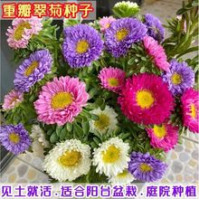 շNӴ󻨺B׻ļ_҃ͥԺ̨ԶջN